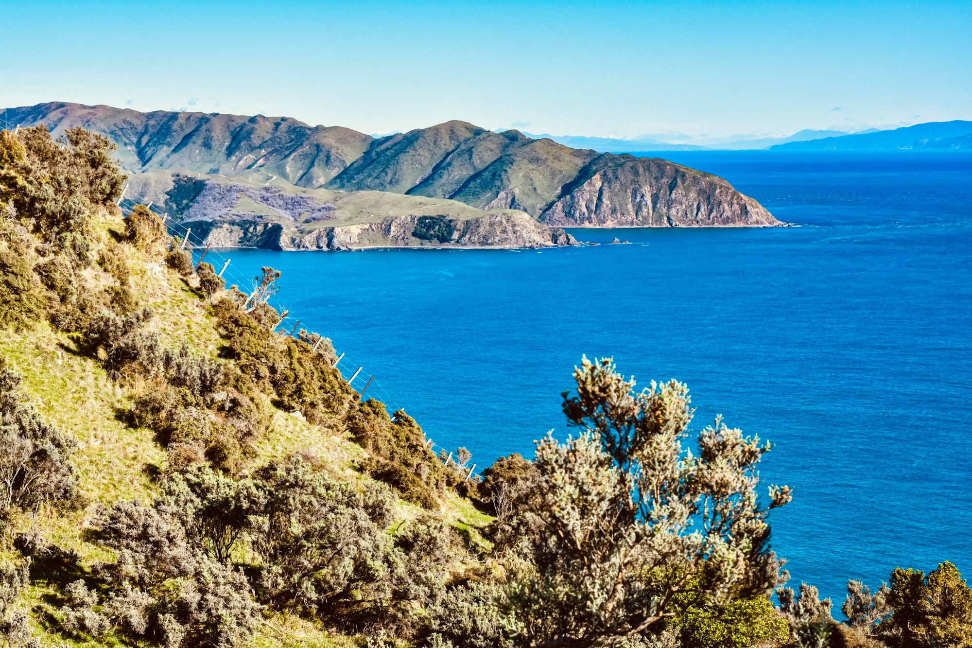 Green coastal hills and rocky shoreline on the North Island of New Zealand