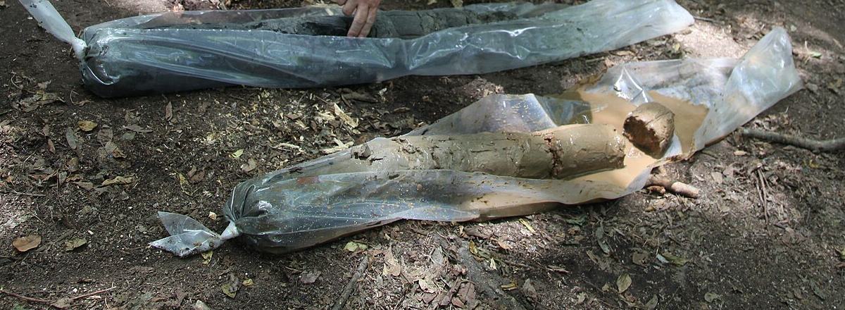 Soil core samples laid out in clear sleeves on the ground